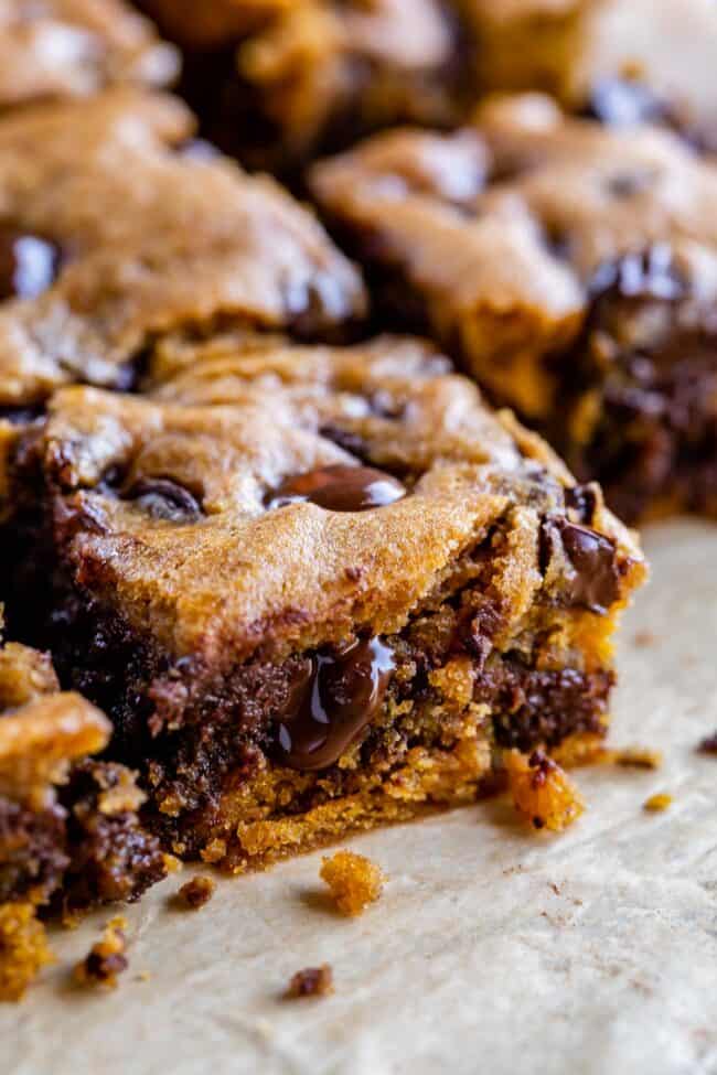 fudgy pumpkin chocolate bars.