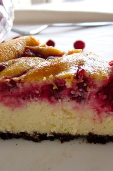 Cranberry Swirl Cheesecake from TheFoodCharlatan.com