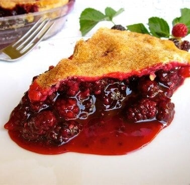 Blackberry Pie from TheFoodCharlatan.com
