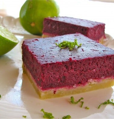 Blackberry Lime Bars from TheFoodCharlatan.com