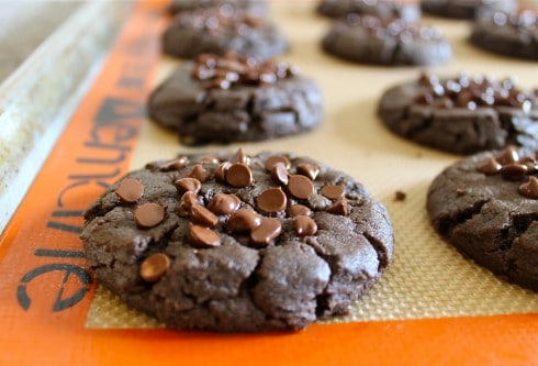 Chocolate Chip Peanut Butter Cookies (Gluten Free) from TheFoodCharlatan.com