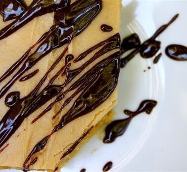 Peanut Butter Sheet Cake from TheFoodCharlatan.com