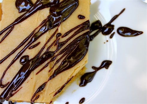 Peanut Butter Sheet Cake from TheFoodCharlatan.com