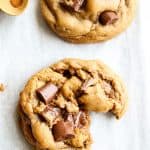 Chocolate Chunk Gingerbread Cookies from TheFoodCharlatan.com