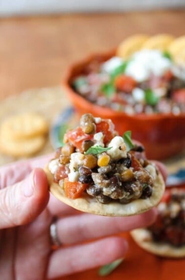 Fresh Bruschetta and Lentil Dip from TheFoodCharlatan.com