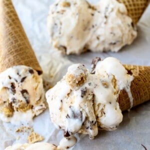 Nutella-Swirled Vanilla Ice Cream with Reese's-Style Chunks from TheFoodCharlatan.com