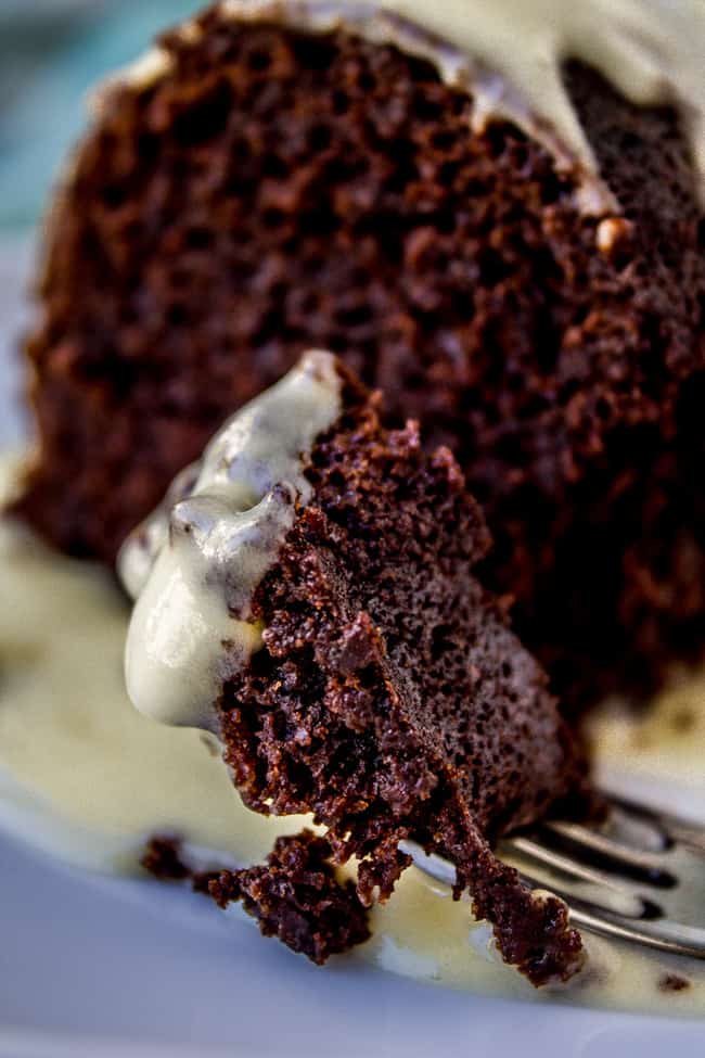 Chocolate Cake with Coconut Custard from The Food Charlatan