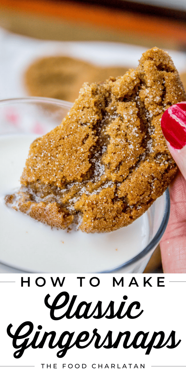 a hand dipping a homemade gingersnap cookie in a glass of milk.