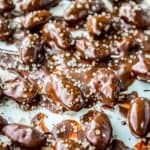 Mint Chocolate Covered Almonds from The Food Charlatan