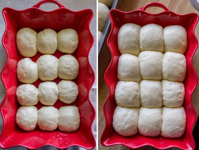 Beautiful dinner rolls before baking.