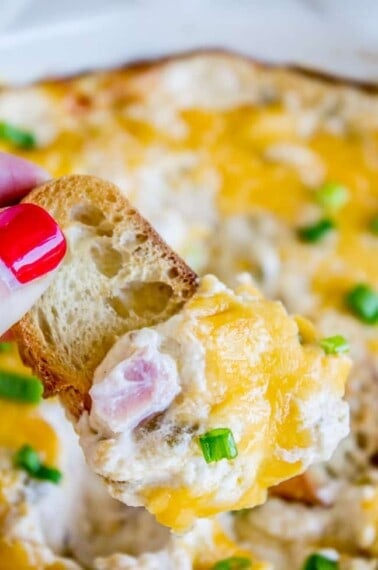 Ham and Cheese Dip from The Food Charlatan