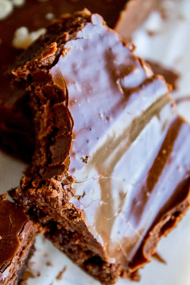 fudge brownie with a bite taken out of it.