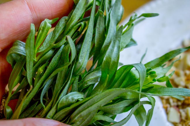A bunch of tarragon herbs. 