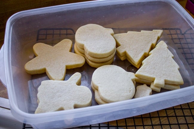 sugar cookies, unfrosted, stacked inside a storage container, ready to freeze.