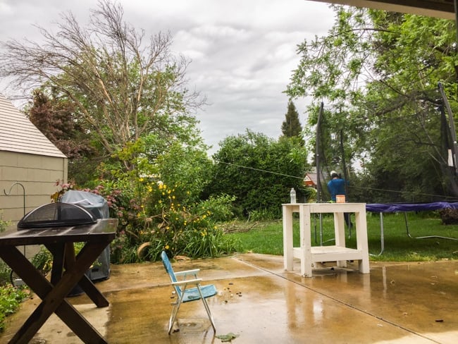 a man removing a large tree from a backyard. 