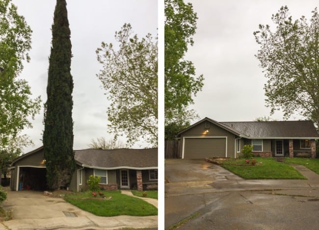 a tree in front of a ranch style home, then the same home with the tree removed.