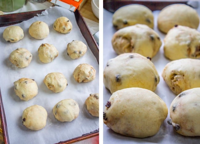 hot cross buns on a sheet pan, rising.
