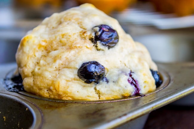 a blueberry muffin in a muffin tin.