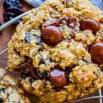 Dark Chocolate Cherry Oatmeal Cookies from The Food Charlatan