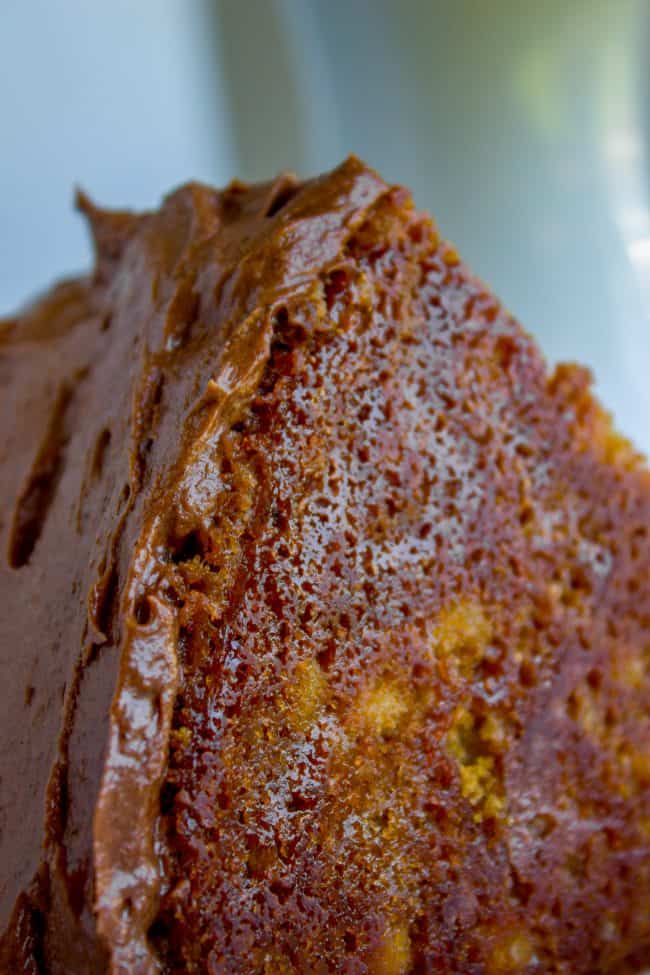Brown Sugar Yellow Cake with Chocolate Frosting from The Food Charlatan. The BEST moist yellow cake recipe I've ever had, probably because there is one unusual ingredient: brown sugar. It makes the cake less traditional but a lot more MOIST. (Hallelujah!) I'm in love with this brown sugar yellow cake and the ridiculous amount of chocolate frosting that goes with it. #cake #yellowcake #frosting #chocolatefrosting #homemade #recipe #fromscratch #moist #withchocolatefrosting #easy #icing #dessert #layer #layercake #birthday #birthdaycake the bottom of a chocolate frosted yellow cake.