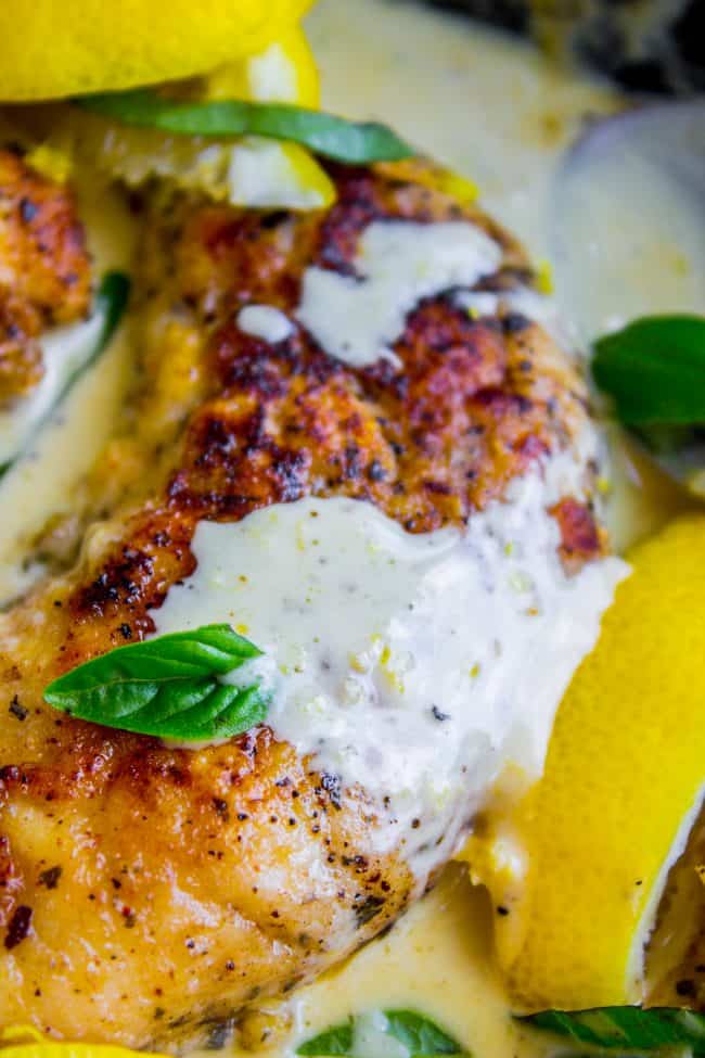 Pan-Seared Chicken in Lemon Basil Cream Sauce from The Food Charlatan. Here's an easy 30 minute dinner idea for you! Pan-seared Chicken in Lemon Basil Cream Sauce is super easy to throw together, and uses up some of that fresh garden basil. Chicken tenderloins are quick to cook on the stovetop, and the sauce has such bright lemony flavor! #chicken #lemon #lemonchicken #basil #summer #panseared #easy #fast #recipe #creamy #pansauce #30minute lemon chicken with a creamy sauce.
