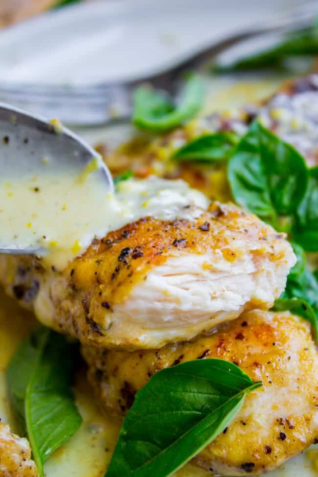 Pan-Seared Chicken in Lemon Basil Cream Sauce from The Food Charlatan. Here's an easy 30 minute dinner idea for you! Pan-seared Chicken in Lemon Basil Cream Sauce is super easy to throw together, and uses up some of that fresh garden basil. Chicken tenderloins are quick to cook on the stovetop, and the sauce has such bright lemony flavor! #chicken #lemon #lemonchicken #basil #summer #panseared #easy #fast #recipe #creamy #pansauce #30minute pan seared chicken with fresh basil and lemon cream sauce being poured on with a spoon.