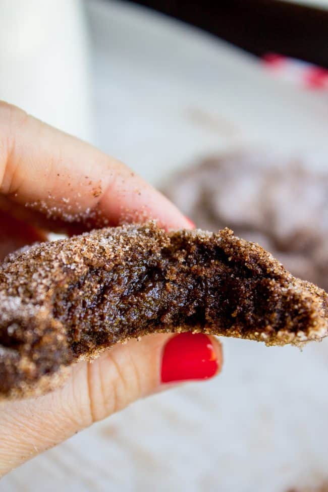 hand holding a Mexican chocolate cookie with half of it eaten. 