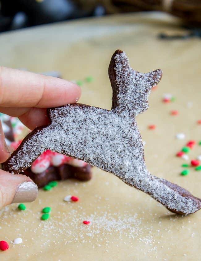 The Softest Chocolate Sugar Cookies (That Hold Their Shape) from The Food Charlatan. They are seriously the softest you will ever have! Packed with chocolate flavor and perfect with a thick schmear of buttercream frosting and sprinkles. Cream cheese in the dough is the secret to super soft sugar cookies! #chocolate #sugarcookies #cookies #frosting #icing #buttercream #sprinkles #creamcheese #spiderweb #halloween #decorated #recipe #soft #cutout #Christmas #chewy #best #frosting #homemade #rolled Christmas sugar cookies