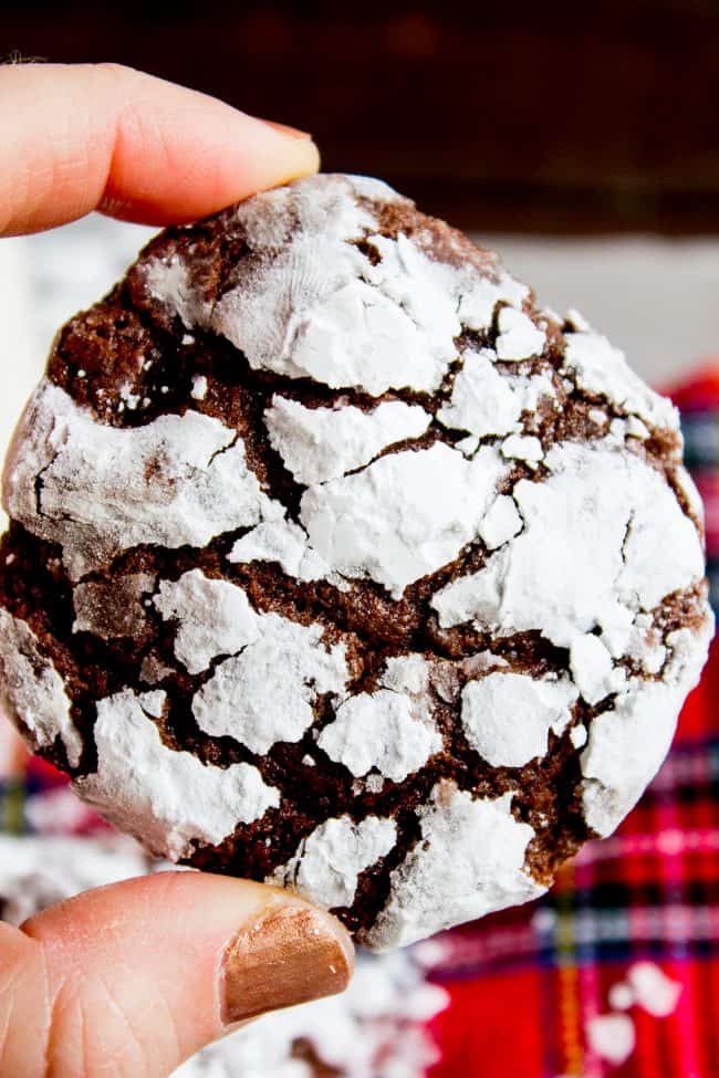 Chocolate Crinkle Cookies (Ultra Fudgy) from The Food Charlatan. It's not even Christmas with Chocolate Crinkle Cookies! They are just a classic. Chocolate Christmas cookies are a must on your cookie plate; they always seem to disappear first. This recipe is ultra fudgy and decadent because we're using cocoa AND baking chocolate! #easy #recipe #classic #chocolate #fudge #fudgy #powderedsugar #crinkle #best #christmas #chewy #brownie #hersheys #withcocoapowder #fromscratch a chocolate crinkle cookie held by a manicured hand.