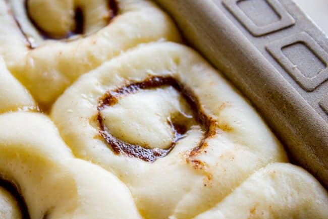 The FLUFFIEST Homemade Cinnamon Rolls of Your Life (Can Make Overnight) from The Food Charlatan. If you haven't made cinnamon rolls with a simple sweet dough (brioche style) instead of regular bread dough, you are totally missing out. These are the FLUFFIEST homemade cinnamon rolls of your life! They are very easy, and you can make them overnight! #cinnamon #cinnamonrolls #creamcheese #frosting #homemade #fluffy #gooey #easy #overnight #cinnabon #recipe #best #fromscratch #icing #makeahead homemade cinnamon rolls rising in a pan.