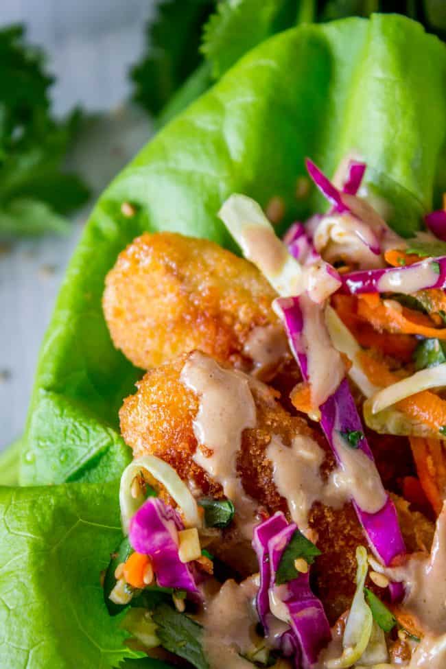 Thai Lettuce Wraps with Crispy Fish and Peanut Sauce from The Food Charlatan. These are a fabulous way to start off your January! Supple butter lettuce wrapped around crispy baked fish, topped with a gingery homemade Asian slaw. Drizzle with sweet and spicy Thai Peanut Sauce and you have an easy and healthy Asian-inspired weeknight dinner! #healthy #fish #crispy #cabbage #slaw #asian #Thai #peanutsauce #easy #sauce #lowcarb #lunch #simple #butterlettuce #greenonion #carrot #purplecabbage close up shot of a fish taco in butter lettuce.