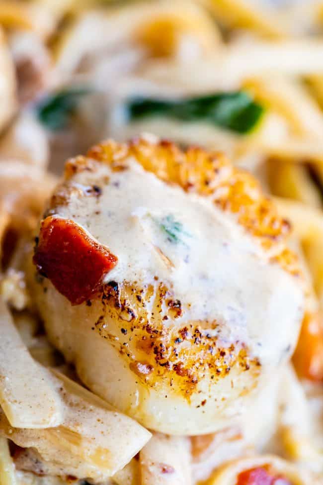 Pan Seared Scallops in Creamy Champagne Sauce from The Food Charlatan. If you have never paired tender, buttery, pan seared scallops with a creamy wine sauce, you are missing out! Toss with some linguine and crispy crumbled bacon, and you have a very special dinner for two. #valentinesday #valentine #dinnerfortwo #romantic #scallops #recipe #easy #pansear #seafood #seared #healthy #pasta #Howtocook #dinner #easy #fried #best #sauteed #creamy #spinach #meal #whattoserve #whitewine #champagne scallops with bacon and a creamy sauce over linguine.