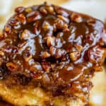 soft caramel pecan sticky bun.