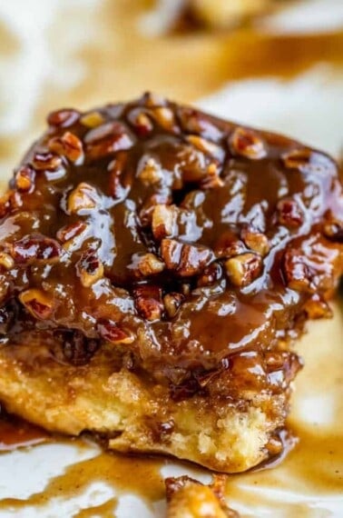 soft caramel pecan sticky bun.