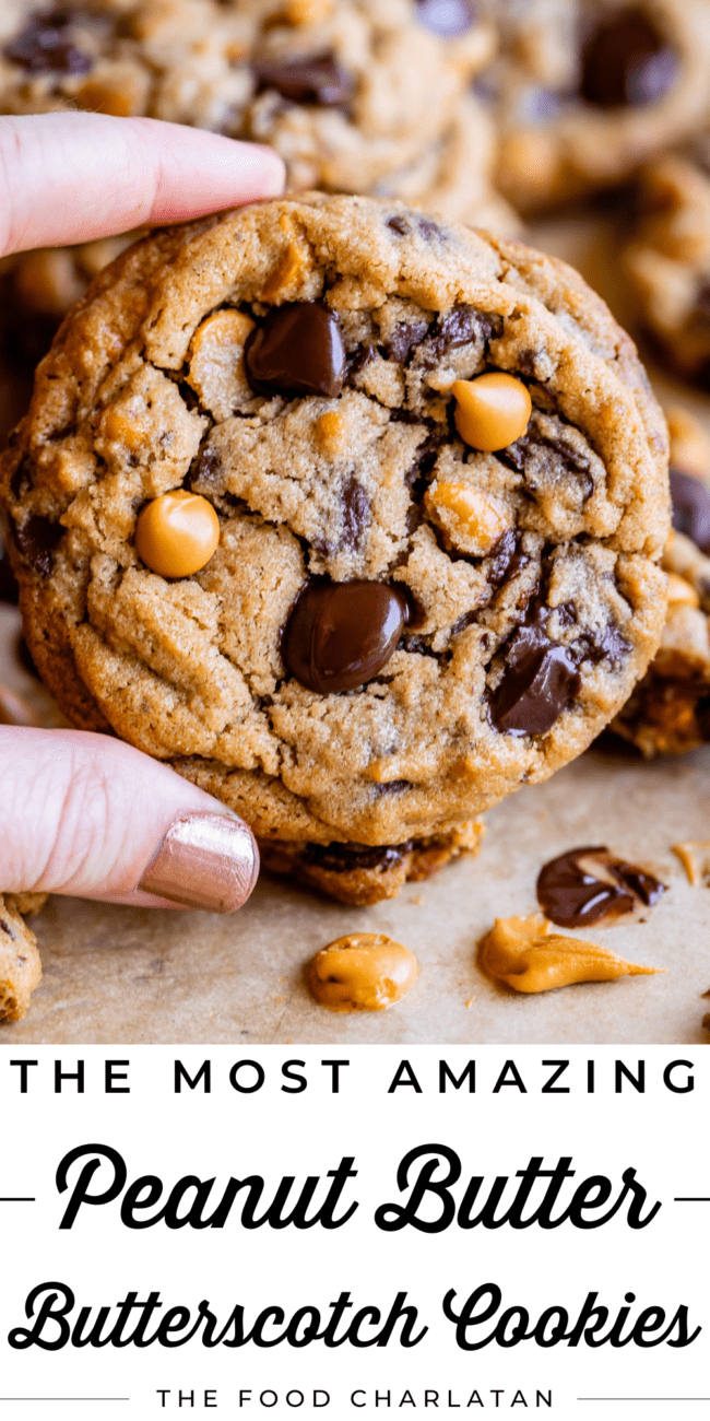 peanut butter cookie with butterscotch and chocolate chips.