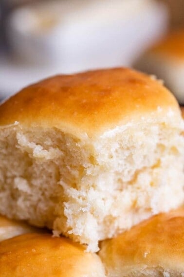 homemade dinner rolls