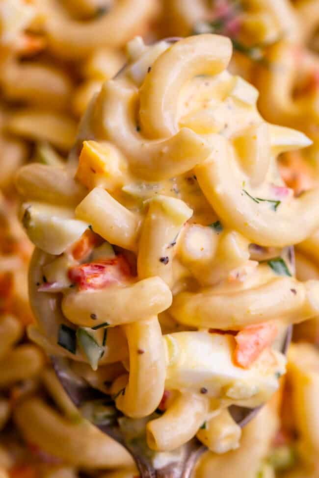 close of up macaroni salad on a spoon.