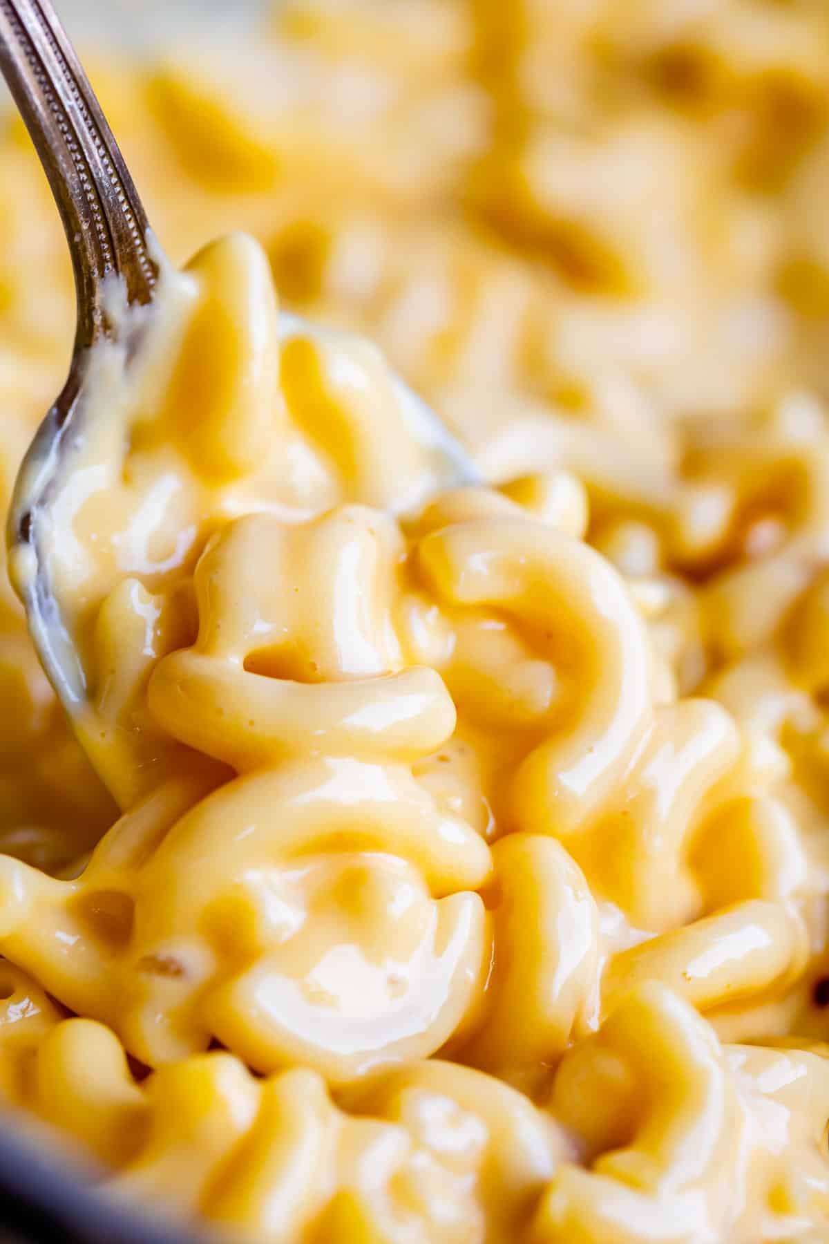 a spoonful of easy Velveeta mac and cheese