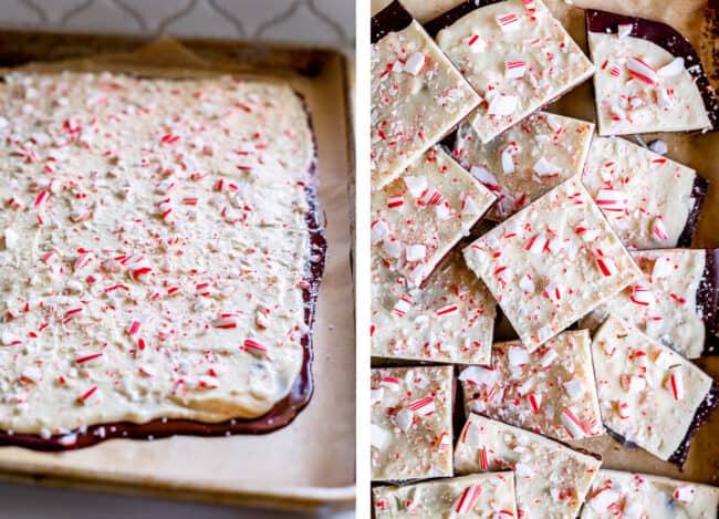 peppermint bark just after it's been poured, and then cut into squares.