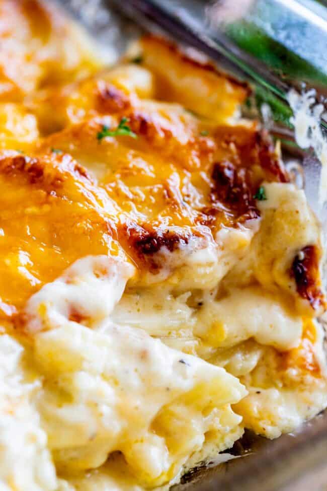 super creamy scalloped potatoes in a baking dish. 