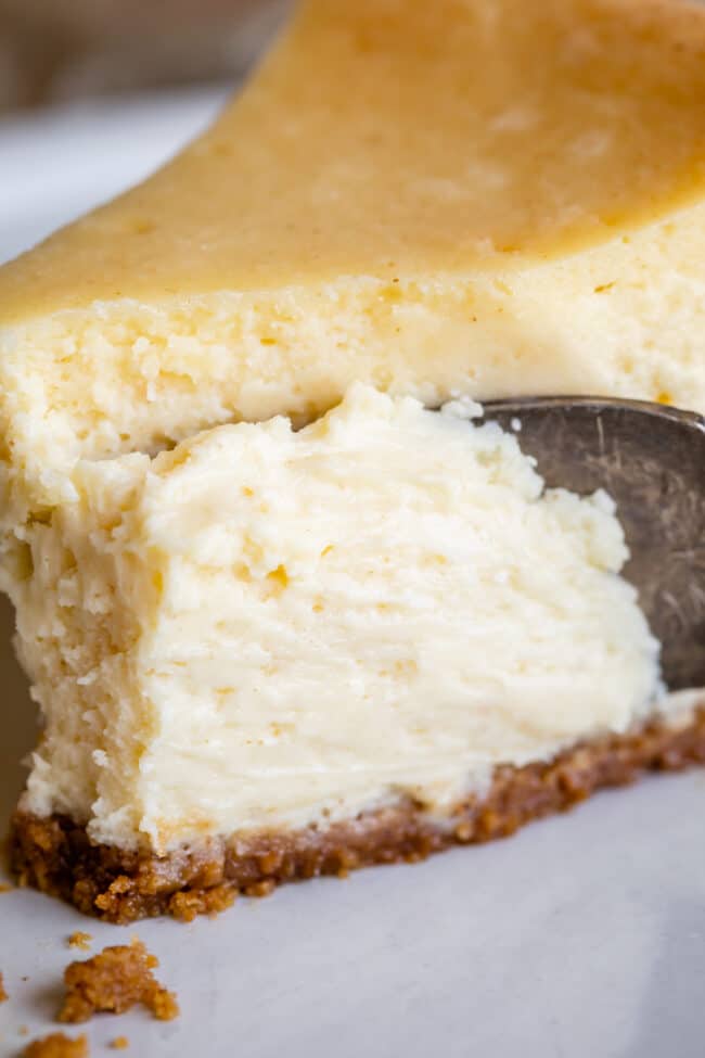 a fork slicing down into a piece of classic cheesecake.