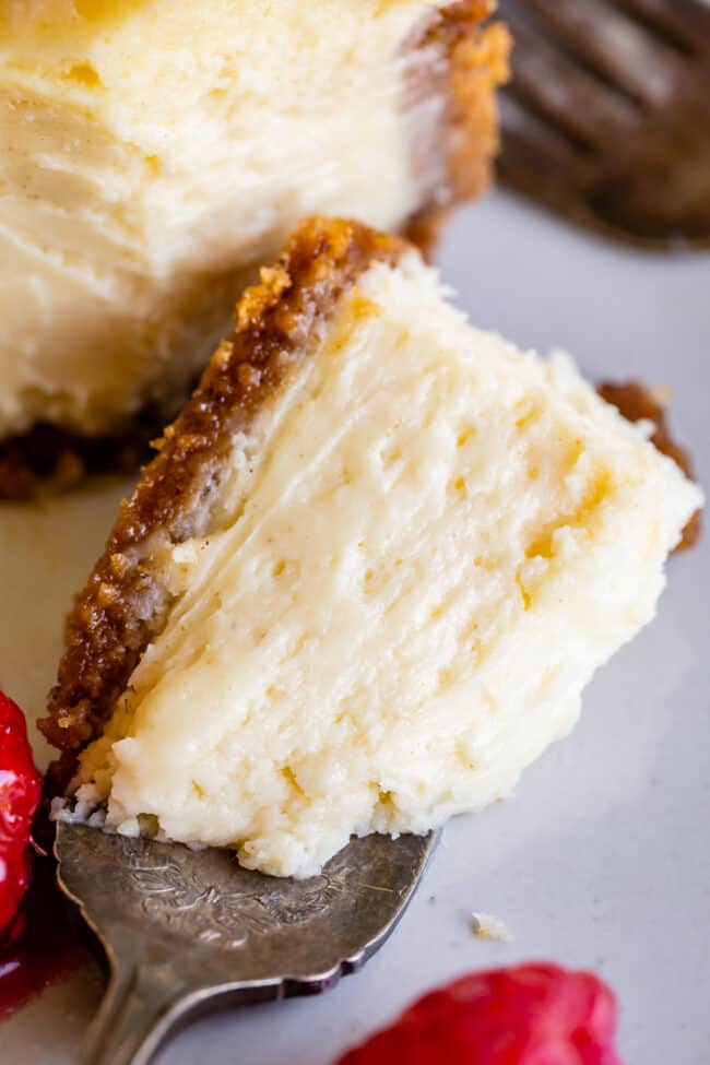 a bite of creamy cheesecake on a fork.