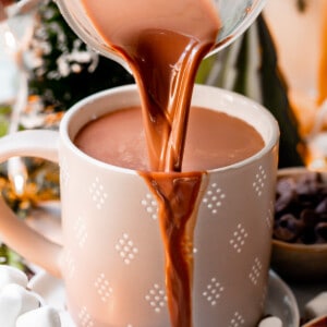 recipe for hot chocolate being poured into a gray and white mug with mini marshmallows.