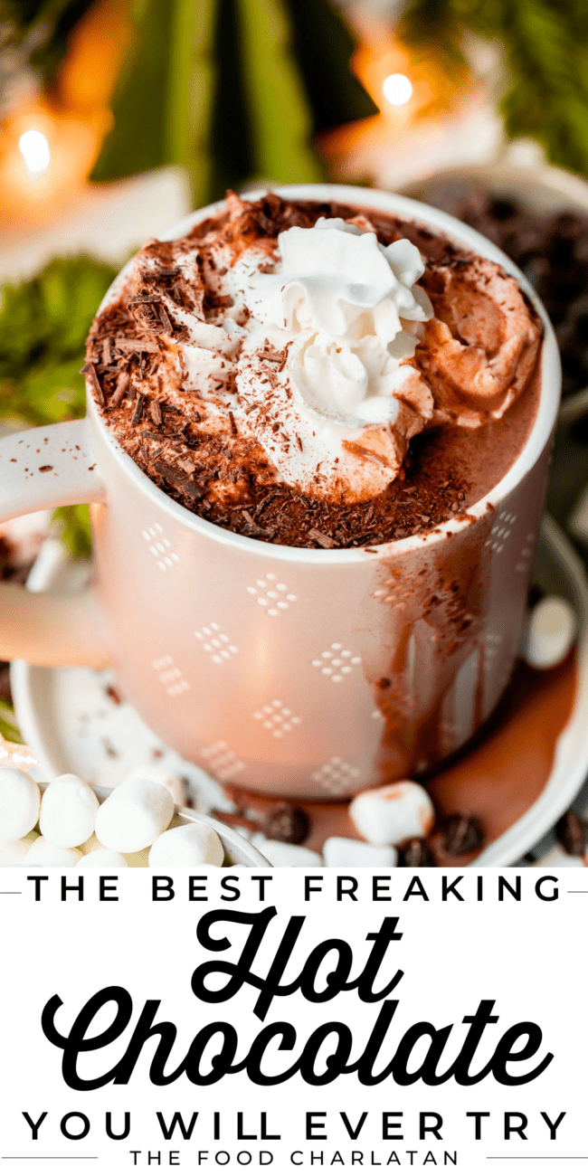 best hot chocolate in a mug with whipped cream and twinkle lights.