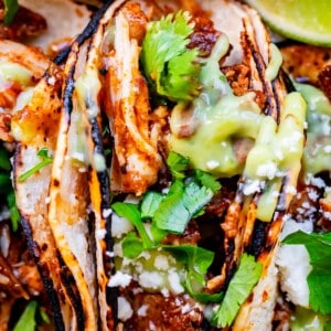 close up of a taco with charred tortillas, saucy chicken, cilantro, and green salsa.