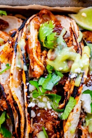 close up of a taco with charred tortillas, saucy chicken, cilantro, and green salsa.