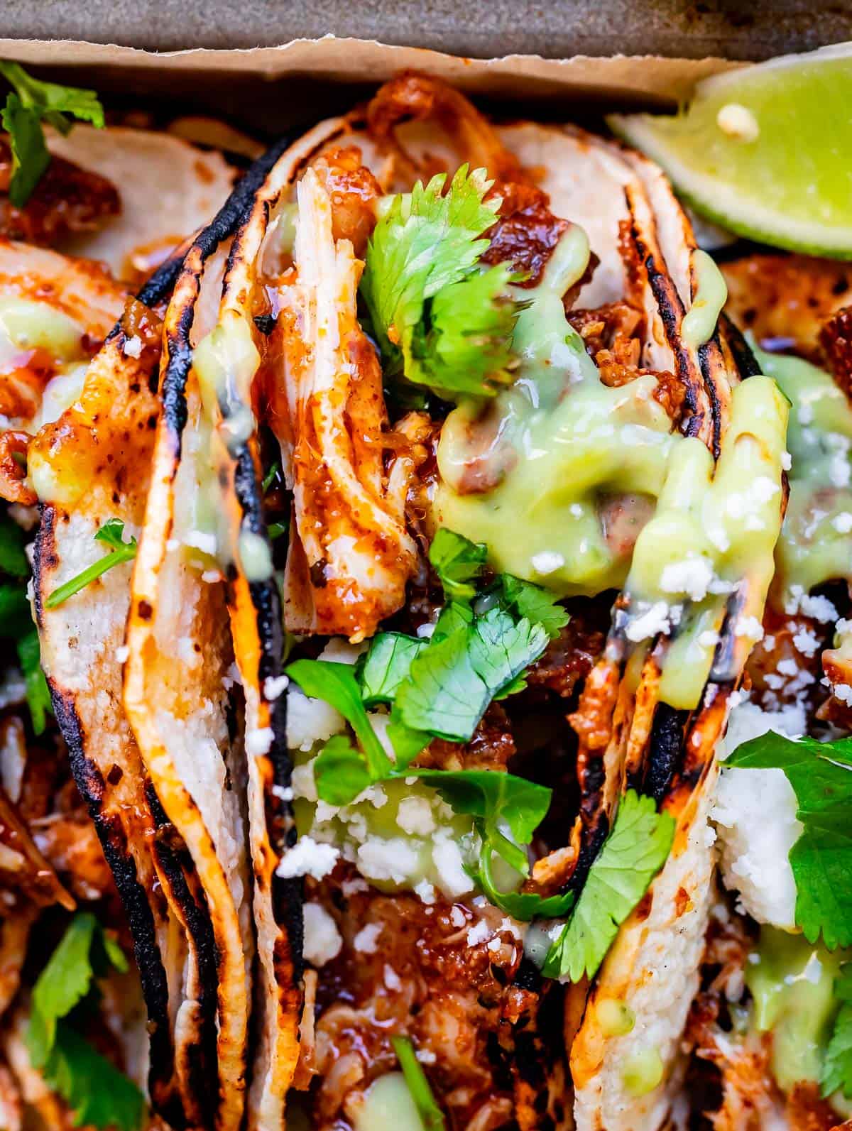 close up of a taco with charred tortillas, saucy chicken, cilantro, and green salsa.
