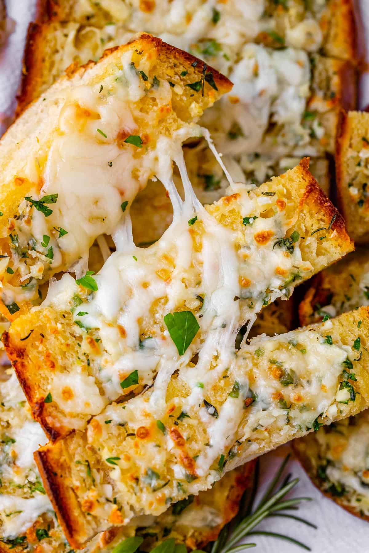 garlic bread topped with mozzarella sliced into pieces.