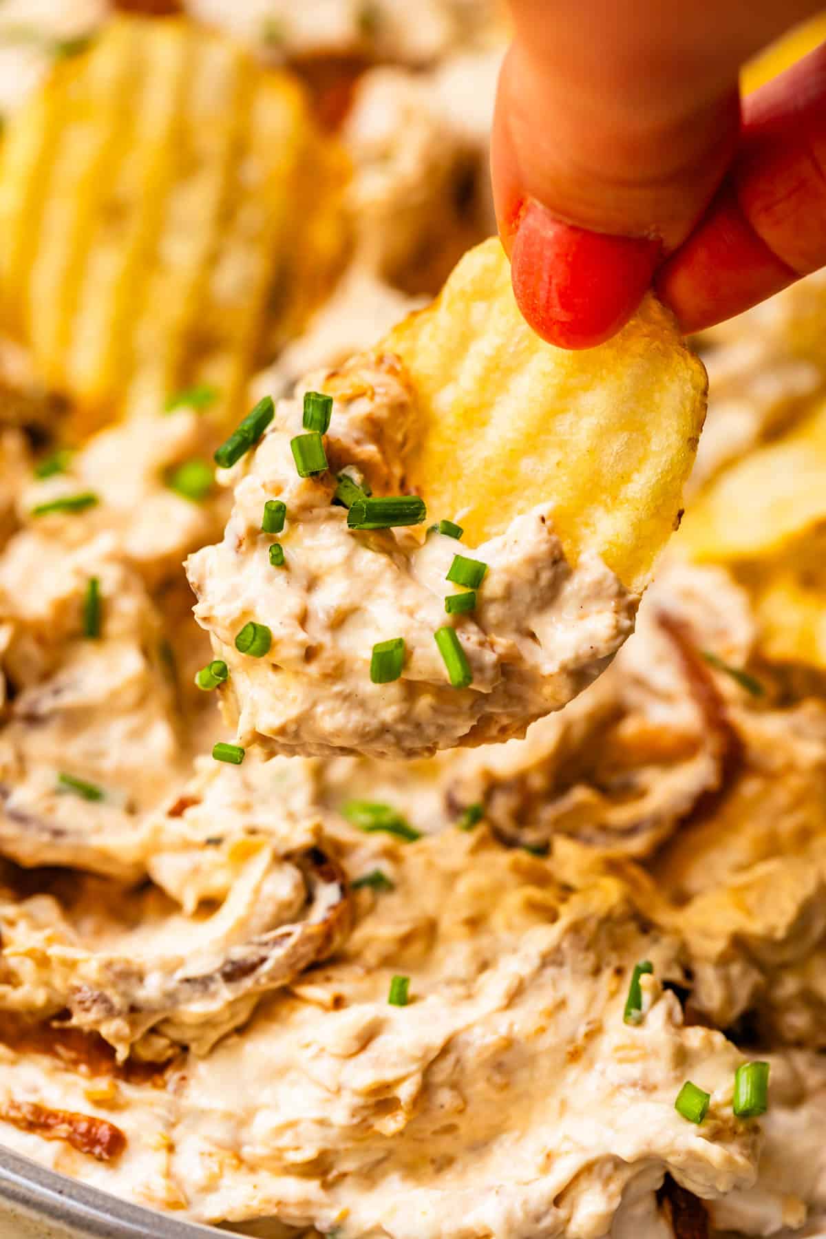finger and thumb holding a crinkle cut potato chip loaded with French onion dip with chive garnish.