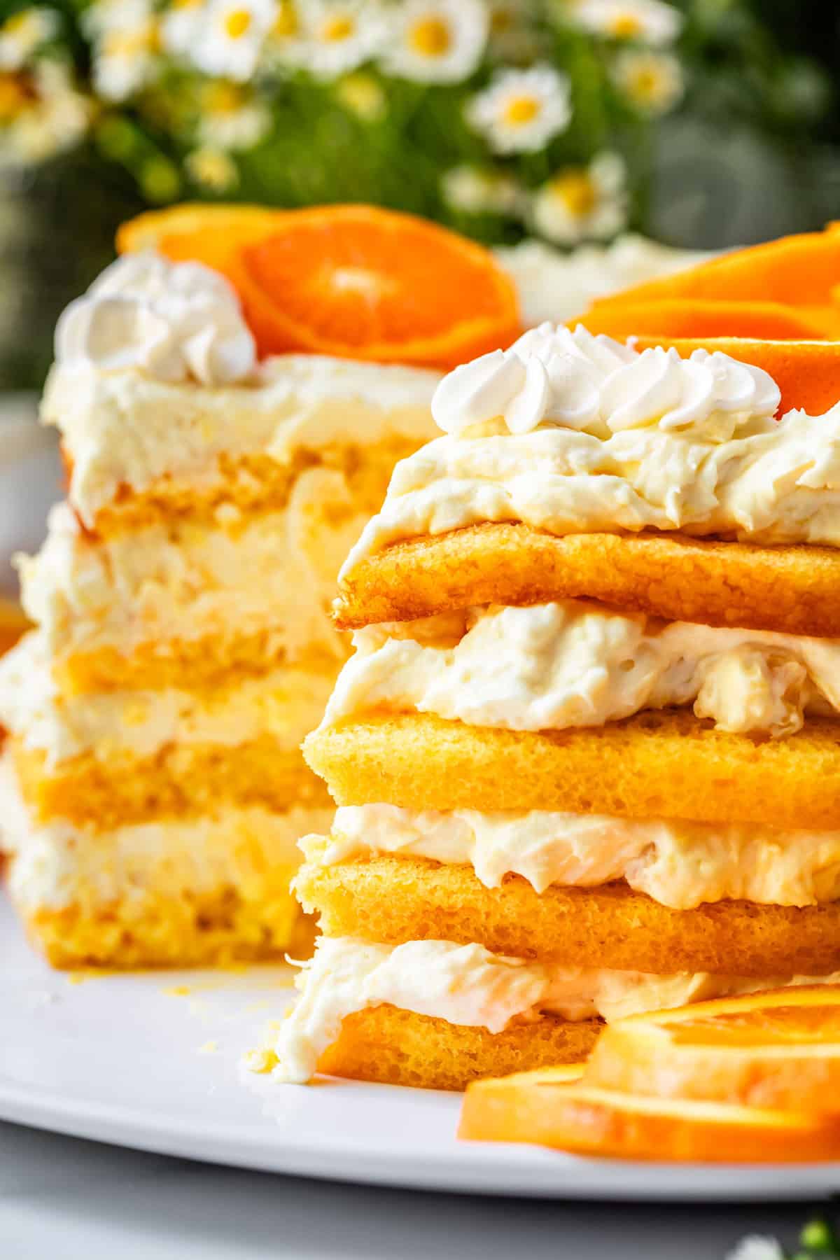 side view of sunshine cake with exposed edges to see layers and a slice missing.